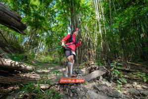 BIB: 
                            <button type="button" onclick="openModal(19393505)" class="btn btn-primary btn-sm float-right btn-popup" data-toggle="modal" data-target=".modal-high-quality">
                        <i class="fas fa-shopping-cart"></i> Add to Cart
                    </button>
                                            <button type="button" onclick="isThisMe(19393505, true)" class="btn btn-success btn-sm float-right btn-popup btn-isme hidden" data-toggle="tooltip" data-placement="bottom" title="นี่คือรูปของคุณใช่ไหม คลิกที่นี่เพื่อเอาเข้าอัลบั้ม">
                        <i class="fas fa-plus"></i> Add to album
                    </button>
                    <button type="button" onclick="isThisMe(19393505, false)" class="btn btn-warning btn-sm float-right btn-popup btn-isnotme hidden">
                        <i class="fas fa-ban"></i> Remove from album
                    </button>